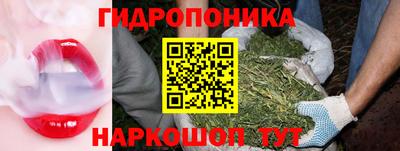 сатива Братск