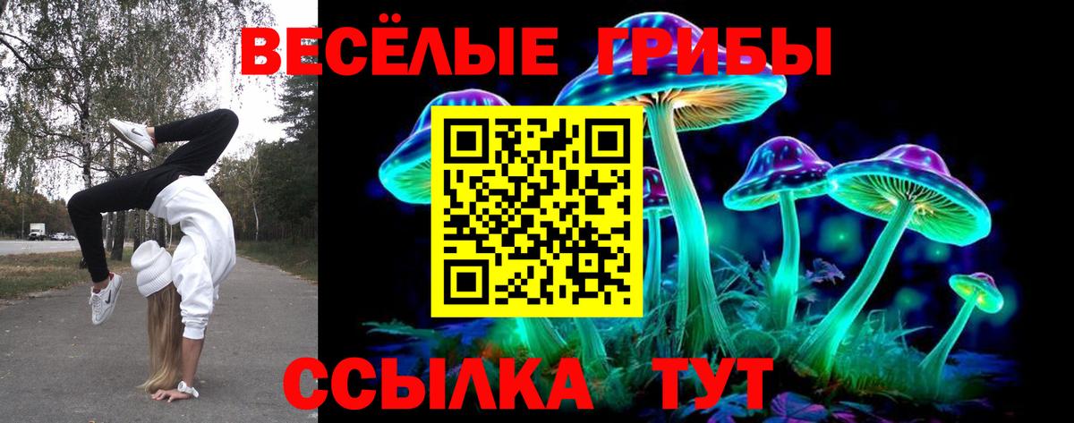 Галлюциногенные грибы мухоморы Баксан